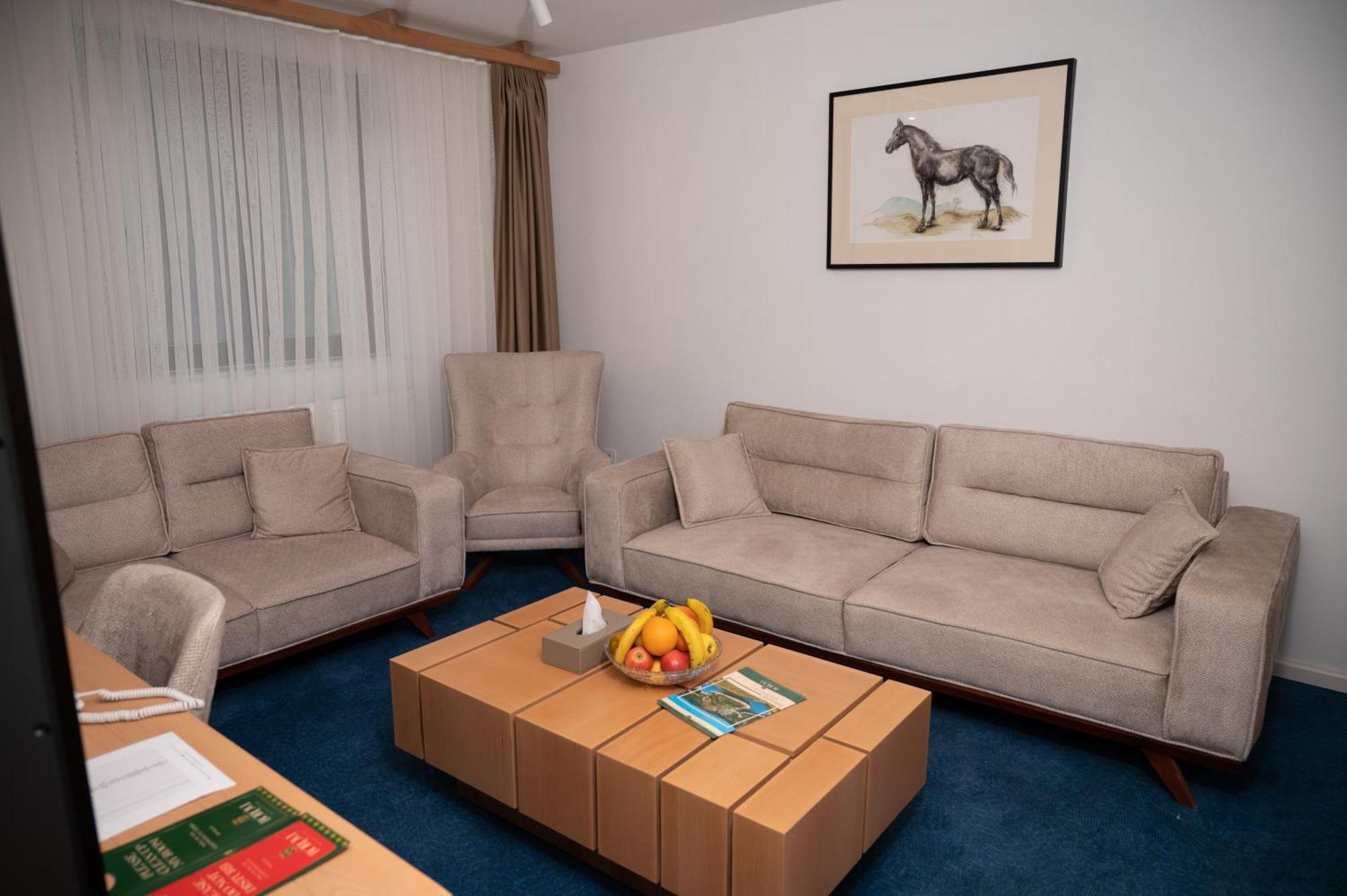 Hotel Borovi Forest Resort & Spa Сьєниця Екстер'єр фото